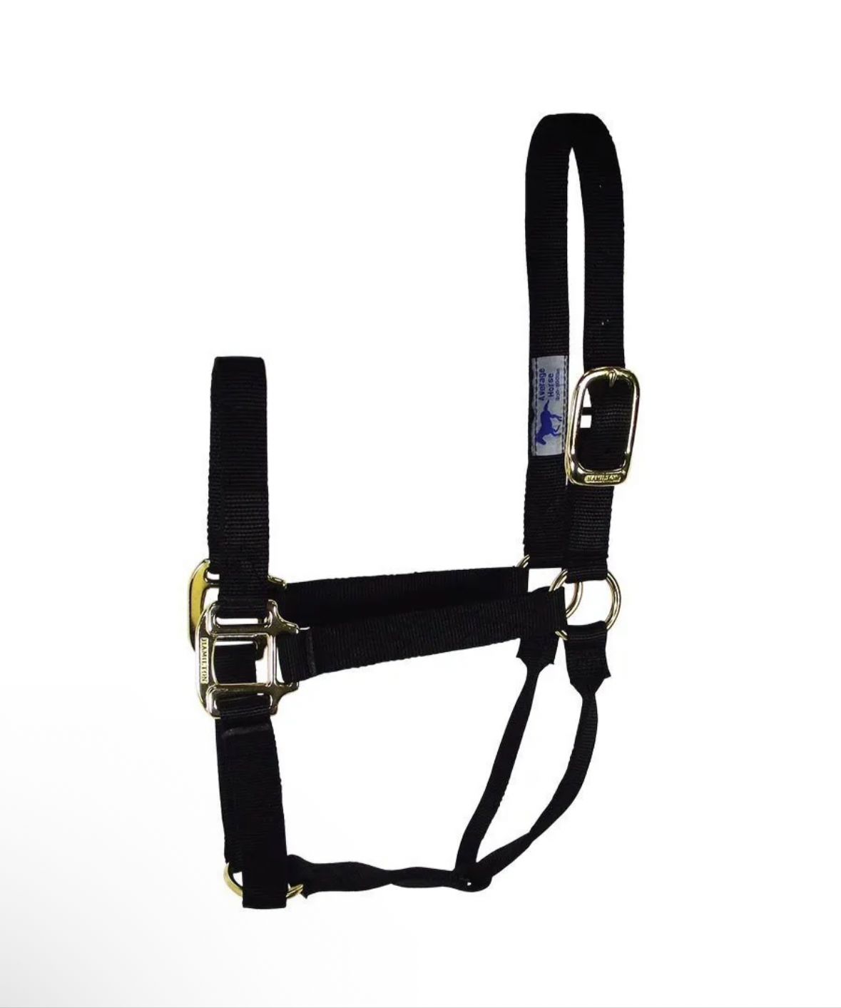 Weanling Halter, by Hamilton