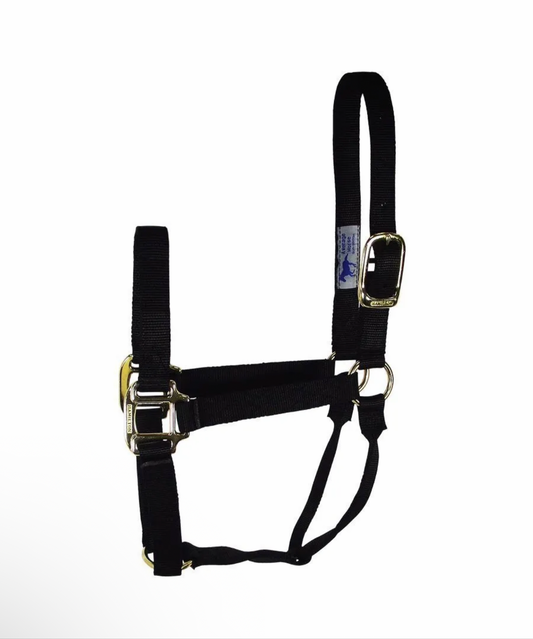 Weanling Halter, by Hamilton