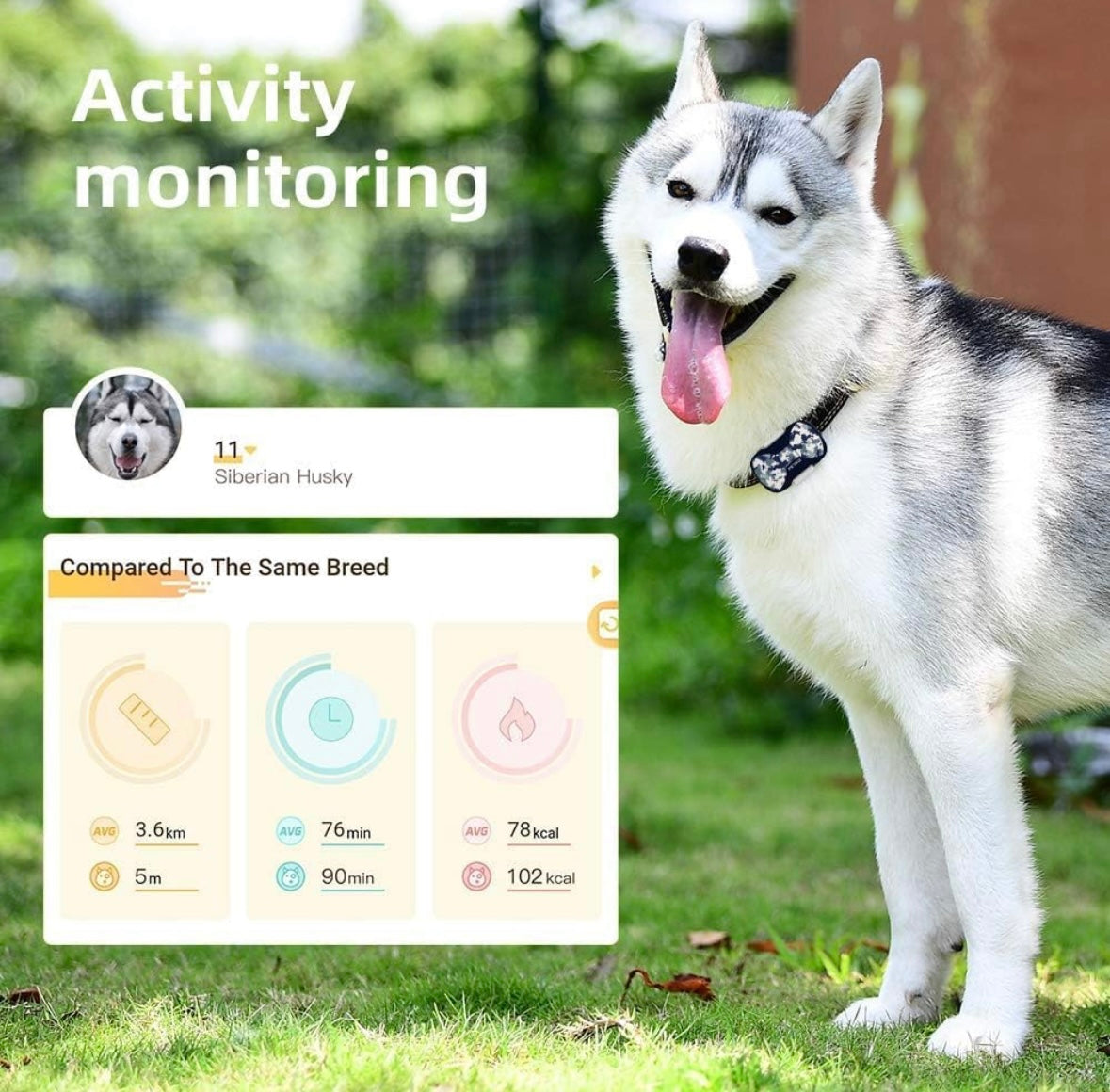 Pet Biz GPS Collar Tracker - Camo